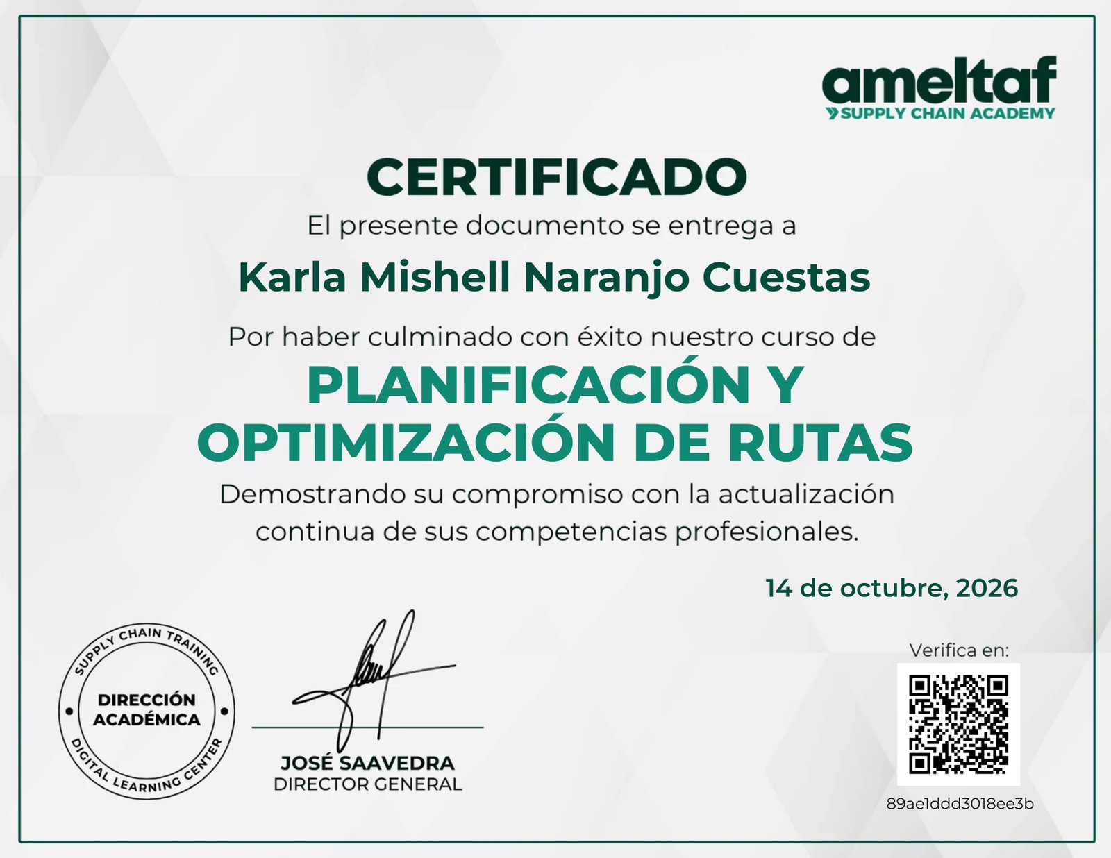 Planificación y Optimización de Rutas
